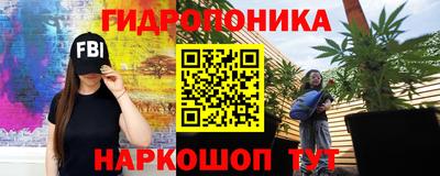 крисы Кинель