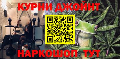 крисы Кинель