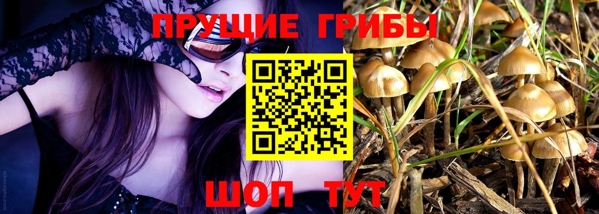 Псилоцибиновые грибы Psilocybine cubensis  Вход с VPN  Южно-Сахалинск 